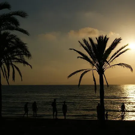 فندق إتش إس إم رينا ديل مار 3*